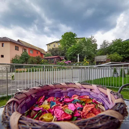 Mountains Dew Apartment Sinaia